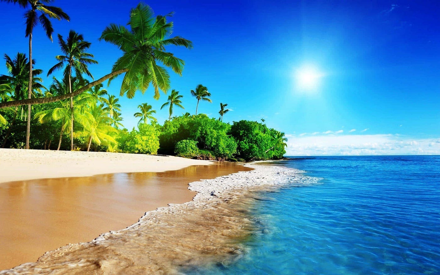 Couverture EXPERIENCE SUMMER