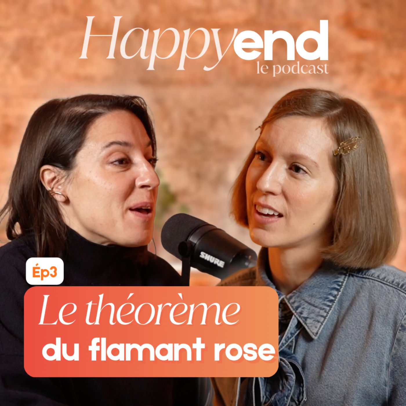 Pochette Episode 3 : Le théorème du flamant rose