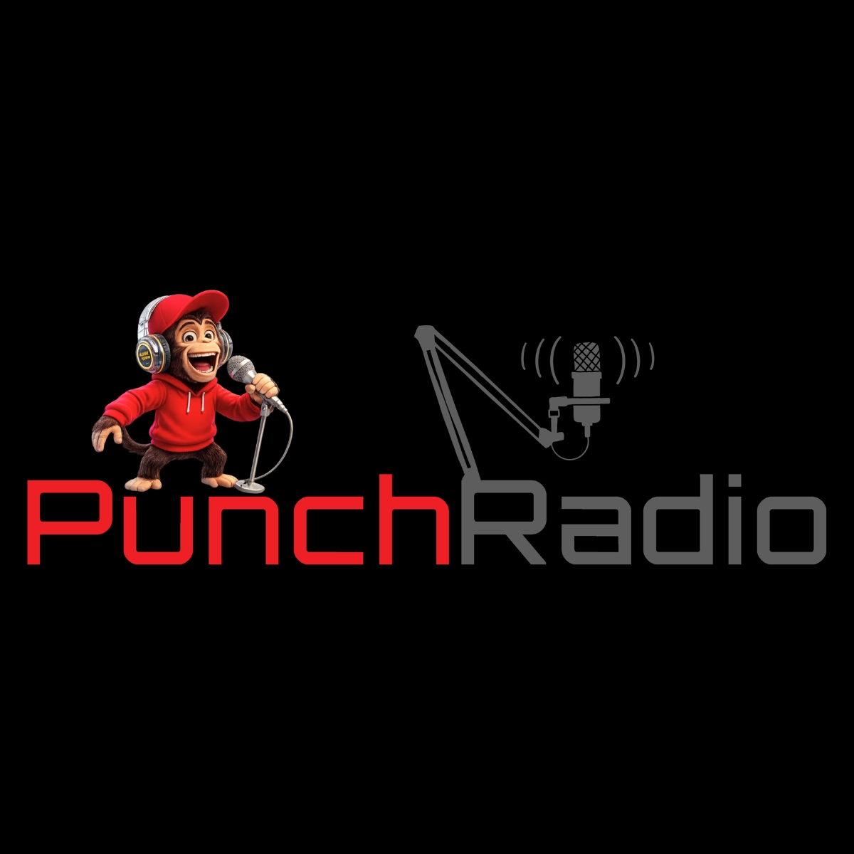 PUNCH-RADIO